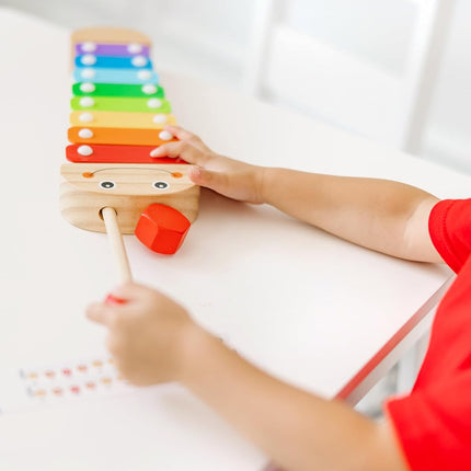 Caterpillar Xylophone