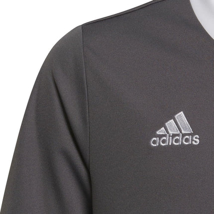 adidas Kids' Entrada 22 Jersey, Grey, Small