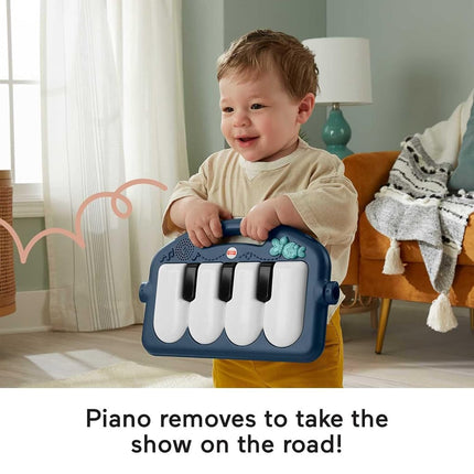 Fisher-Price Kick & Play Piano Gym, Navy Fawn
