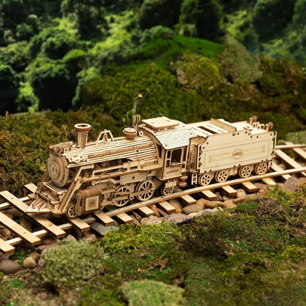 3D Wooden Puzzles for Adults Mechanical Models Kits to Build Unique Birthday/Christmas Day (Prime Steam Express)