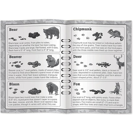 Baby Fanatics 41979: Jr. Guardabosques - Juego de Cartas para Niños "Pistas de Caca"