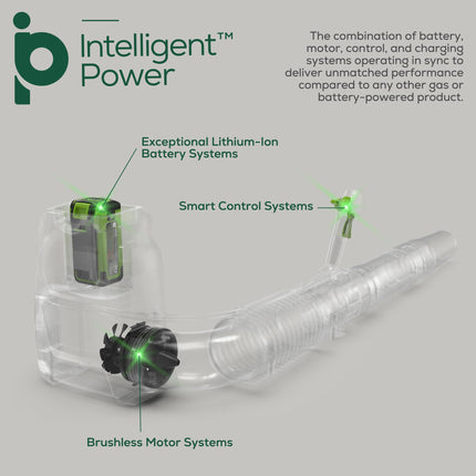 Soplador de Hojas de Mochila Inalámbrico Sin Escobillas Greenworks 40V (165 MPH / 660 CFM / Más de 75 Herramientas Compatibles), Batería de 8.0Ah y Cargador Incluidos, Verde