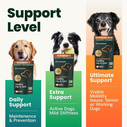 VetriScience Laboratories - GlycoFlex Plus, Hip and Joint for Dogs, 120 Chewable Tablets