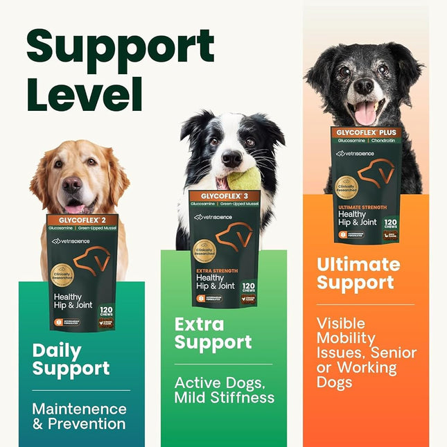 VetriScience Laboratories - GlycoFlex Plus, Hip and Joint for Dogs, 120 Chewable Tablets