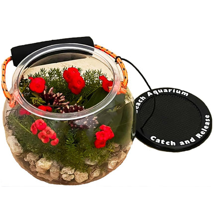 Dry Branch Sports Design Catch and Release Beach Aquarium Kit by Flat River Group