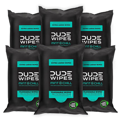 DUDE Wipes - Flushable Wipes Travel Pack - 6 Pack,
