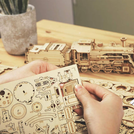 3D Wooden Puzzles for Adults Mechanical Models Kits to Build Unique Birthday/Christmas Day (Prime Steam Express)