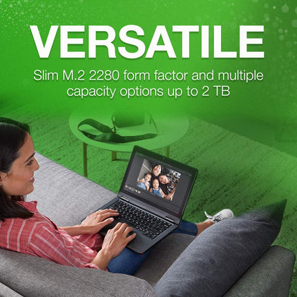 Seagate BarraCuda Q5 SSD, 1 TB, SSD interno, M.2 NVMe PCIe Gen3 ×4, 3D QLC, para ordenador de sobremesa o portátil (ZP1000CV3A001)