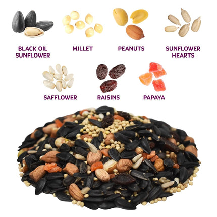 Audubon Park Nut & Fruit Wild Bird Seed - 8 Pounds Premium Blend with Sunflower Seeds, Peanuts, Safflower and Dried Fruits - Bird Food for Outdoor Feeders