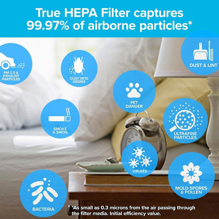 Filtro purificador de aire Filtrete F2 para habitación, HEPA verdadero de primera calidad para alérgenos, bacterias y virus, 33 cm x 20,8 cm, paquete de 2, compatible con los dispositivos: FAP-C02, FAP-C03, FAP-SC02 y FAP-T03