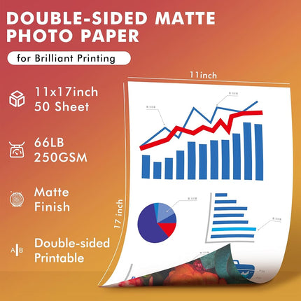 Koala Double Sided Matte Thick Photo Paper 11x17 Inches Heavyweight 50 Sheets 250gsm Compatible with Inkjet Printer and Dye Ink