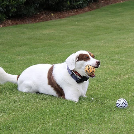 Tourna Unique Sports Dog Fetch Squeaker Balls Animal Prints 18 Pack