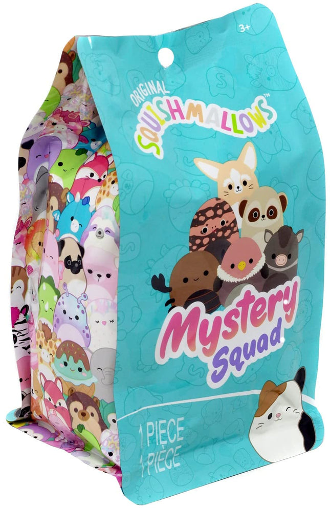 Squishmallows 5 inch Desert Squad Assorted Blind B