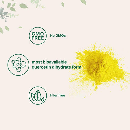 Micro Ingredients Pure Quercetin Dihydrate Powder 100 Gram Powerful Antioxidant Supports Energy Immune System No GMOs, Unflavored, 3.5274 Ounce