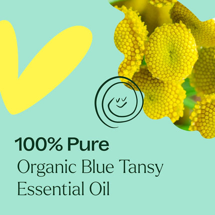 Plant Therapy Blue Tansy Organic Essential Oil 5 mL (1/6 oz) 100% Pure, Undiluted, Therapeutic Grade