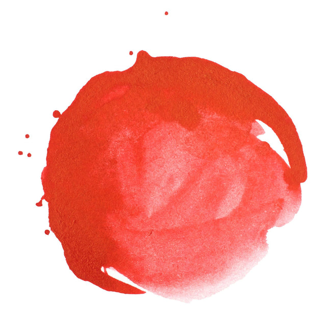 Encre Acrylique Professionnelle Liquitex, pot de 30 ml, Rouge Naphtol Clair