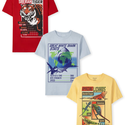 The Children's Place Boys Short Sleeve Graphic T-S