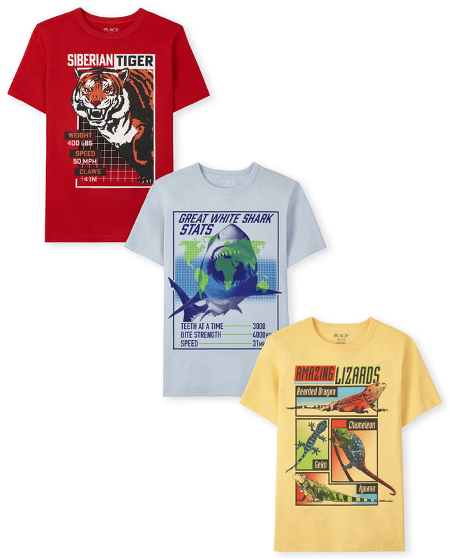 The Children's Place Boys Short Sleeve Graphic T-S