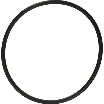 Hayward SPX3000S Strainer Cover O-Ring Replacement