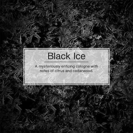 LITTLE TREES Black Ice Car Air Freshener, 24 Xtra Strength Air Fresheners with Long-Lasting Citrus, Cedarwood Scent