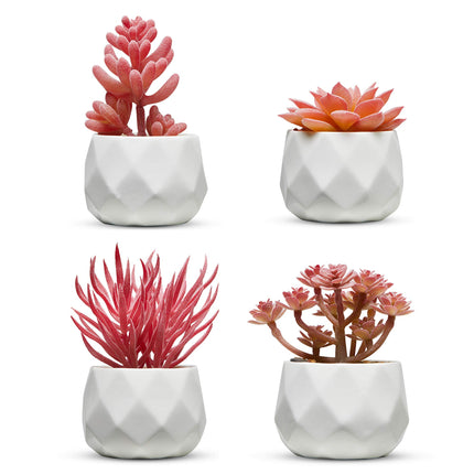 Nordik Miniature Artificial Succulent Set of Four 