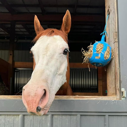 Horsemen's Pride Jolly Hay Ball Stall Toy for Horses, Blue
