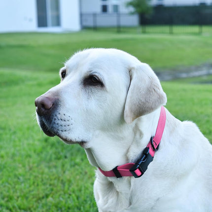 Dogline Biothane Waterproof Dog Collar with Quick Release Buckle Strong Coated Nylon Webbing with Odor- Proof for Easy Care Easy to Clean Fits Small Medium or Large Dogs - Pink 1" Width 15-23" L