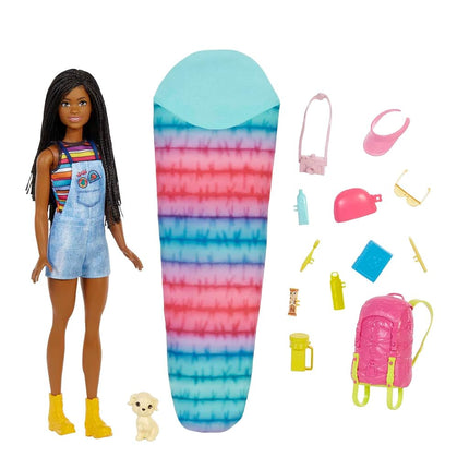 Barbie It Takes Two “Brooklyn” Camping Doll with P