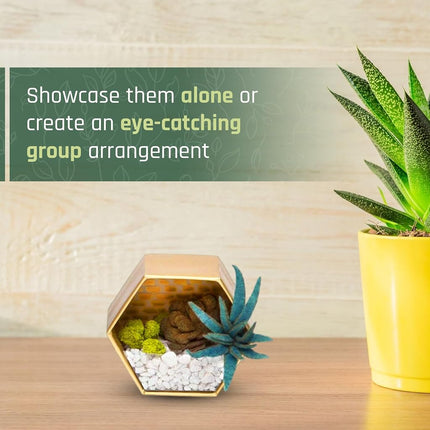 Craft Crush – Mini Terrariums Craft Kit – Make 3 Geometric Terrariums with Colorful Felt Succulents