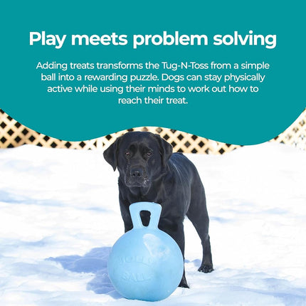 Jolly Pets Tug-n-Toss Dog Toy, 25 cm, Light Blue, Red