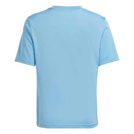 adidas Kids' Tabela 23 Jersey, Team Light Blue/White, Large