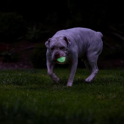 Chuckit! Air Glow Fetch Ball Dog Toy, Medium (2.5 Inch) Pack of 2, for Breeds 20-60 lbs