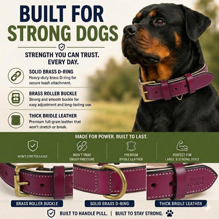 Dowgclub Genuine Leather Basic Dog Collar, Full Grain, Comfortable, Padded, Best for Pups, Small, Medium, Large, XL Dog Breeds (S (Neck Size 11.5"-14.5"), Dark Pink)