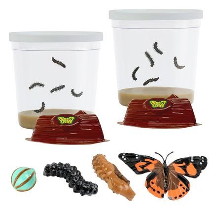 Insect Lore Two Cups of Live Caterpillars with Butterfly Life Cycle Figurines | Butterfly Habitat or Kit Refill | Painted Lady Butterflies