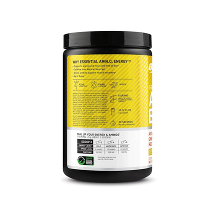 Optimum Nutrition Citrus Spritz Amino Energy Powder 270 g