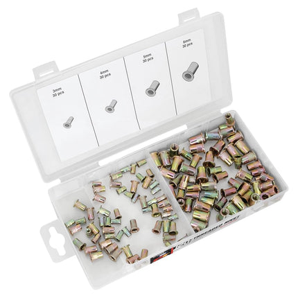 Performance Tool W5252 Rivet Assortment (120pc Met