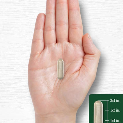 Rosemary Capsules | 1200mg | 400 Count | Non-GMO & Gluten Free Extract | by Carlyle