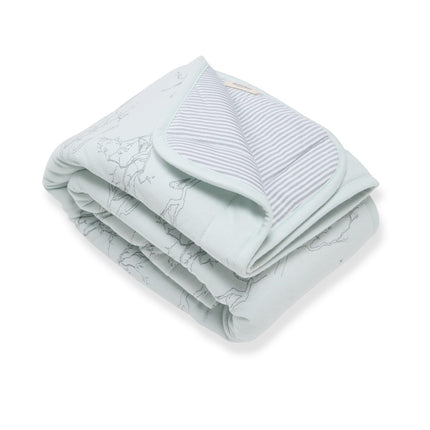 Burt's Bees Baby Reversible Baby Nursery Blanket O
