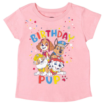 Paw Patrol Everest Skye Rubble Chase Marshall Toddler Girls T-Shirt Light Pink 2T