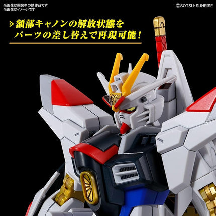 Bandai Hobby Mighty Strike Freedom Gundam 1/144 HG Model Kit