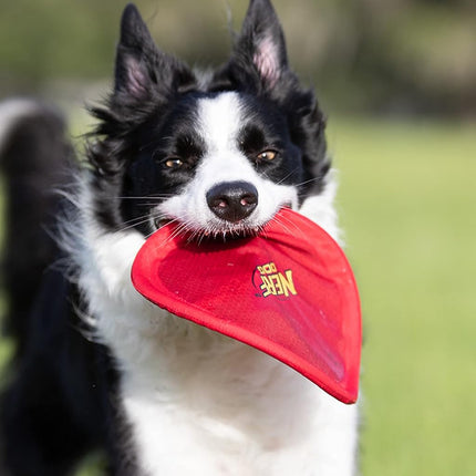 Nerf Dog Frisbee de nailon, 10 pulgadas, rojo