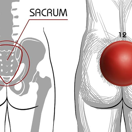 Pelvic Clock® Exercise Device for Hip & Lower Back Pain Relief