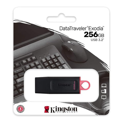 Kingston DataTraveler Exodia DTX/256 GB Flash Drive USB 3.2 Gen 1 - with Protective Cap and Keyring in Multiple Colours