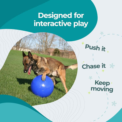Jolly Pets Push-n-Play Dog Toy, 25 cm, Blue