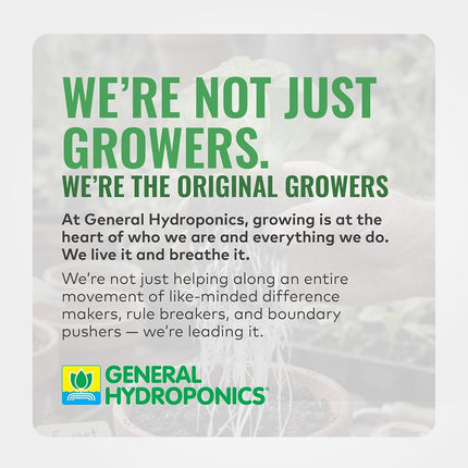 General Hydroponics Rapid Rooter Replacement Plugs, Bag of 50