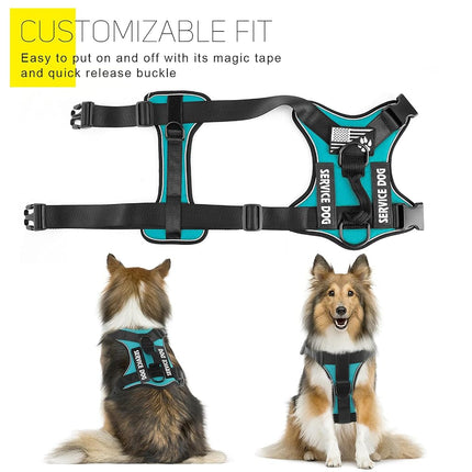Demigreat Dog Harness, Reflective, Adjustable, Durable, Large (Chest 22.83-38.58 in, Neck 16.14-24.41 in), Turquoise, Safety, Practical, Comfort