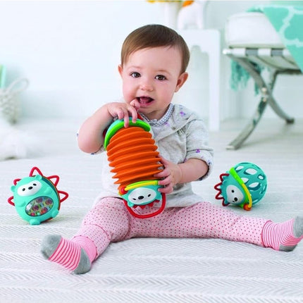 Skip Hop Explore and More Accordion Toy, Hedgehog
