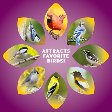 Audubon Park Nut & Fruit Wild Bird Seed - 8 Pounds Premium Blend with Sunflower Seeds, Peanuts, Safflower and Dried Fruits - Bird Food for Outdoor Feeders
