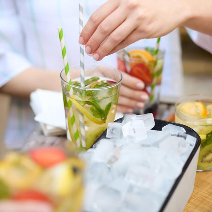 Lekue Ice Box, White