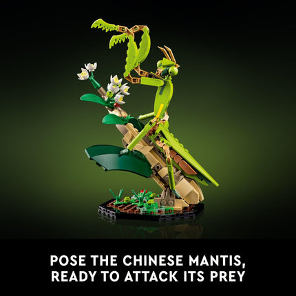 LEGO Ideas The Insect Collection, Fun Gift for Nature Lovers, with Life-Size Blue Morpho Butterfly, Hercules Beetle and Chinese Mantis Display Models, Insect Building Set, Nature Décor (6452127)